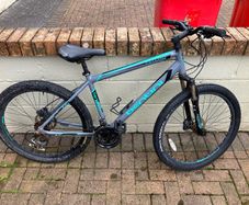 Mens Bike
