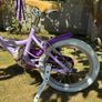 Raleigh 16" Bike Image 6
