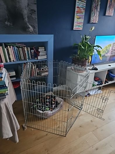 Dog Gate Puppy Pen