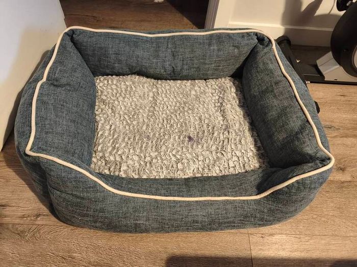 dog bed