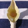belleek Image 6