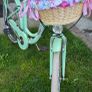 bike Image 4