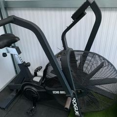 Rogue Echo Assault Bike