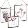 Hanging Chain Picture Frames 3-Set       -  Floating Vintage style Image 8