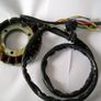 Stator. (Alternator) Honda Image 4