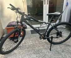 Carrera Bike