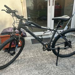 Carrera Bike