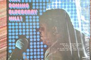 Vinyl Fats Domino Blueberry Hill