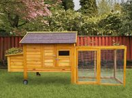 main image for ad Wheeled Egg-Zotic 6-8 Hens With Wheels - Free delivery