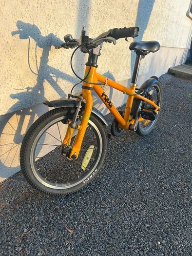 Frog bike 44