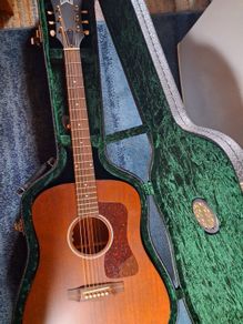 Guild D20 E Acoustic Guitar