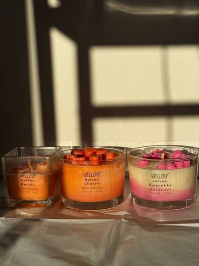 Set of 3 Handmade Soy Candles - Wellove