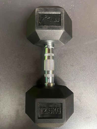 2x12.5kg Dumbbells