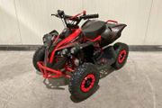 bike 50cc 2stroke mini qaud