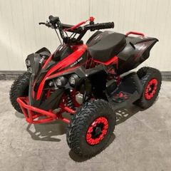 bike 50cc 2stroke mini qaud