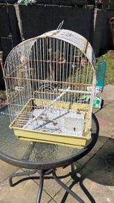 2 big bird cages and 1 small 30each 10 for small one