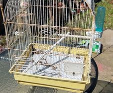 2 big bird cages and 1 small 30each 10 for small one