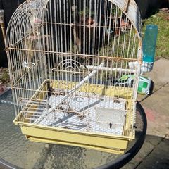 2 big bird cages and 1 small 30each 10 for small one