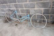 ladies bike restoration job