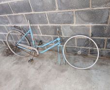 ladies bike restoration job