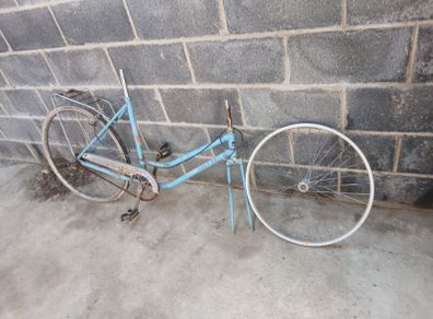ladies bike restoration job