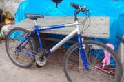 adult bike for sale