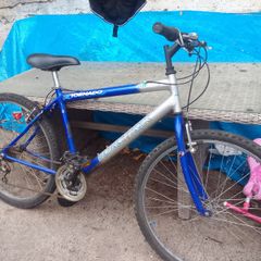 adult bike for sale