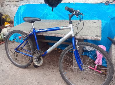 adult bike for sale