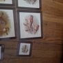 vintage tablemats Image 2