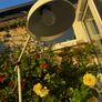 Standing Lamp Image 2