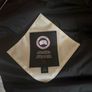 canada goose Image 5