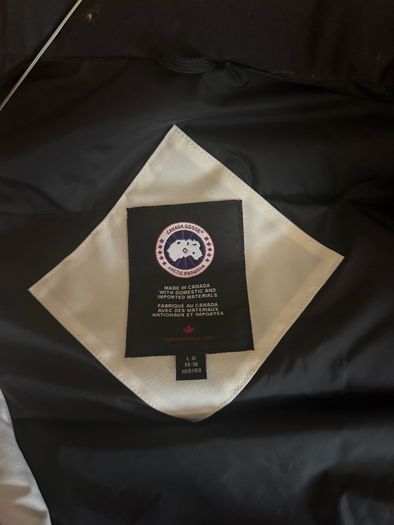 canada goose