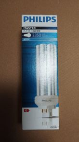 light bulb PLT4P