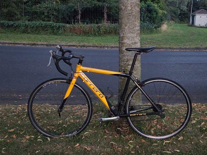 Carrera bike