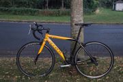 Carrera bike