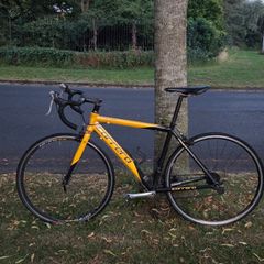 Carrera bike