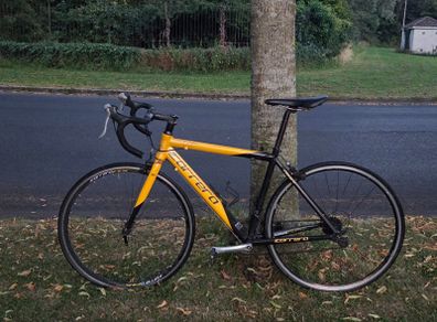 Carrera bike