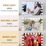 Hollywood Mirror with Lights 18 LED Bulbs 80x58 cm USB Charing Port Vanity Makeup Mirror with Lights 3 Light Color 10X Magnifying Glass Image 3