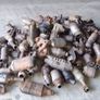We buy DPF And catalytic Converter DUST Image 3