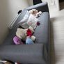 Ikea Klippan Image 4