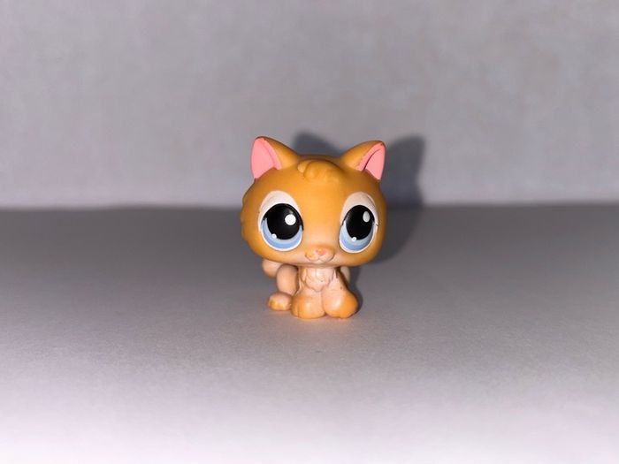 littlest pet shop (LPS) Kitten bundle!