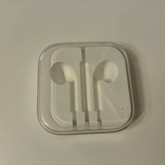 Official Apple EarPods Hard Plastic Storage Carrying Case Case ONLY