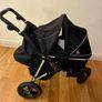 Out n About v2  single buggy bundle Image 2