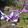 Baby bike Image 4