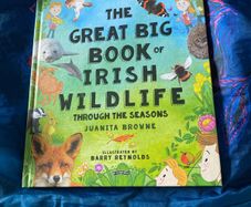 The Great Big Book Of Irish Wildlife Through The Seasons
