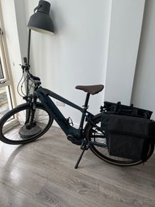 Electric bike