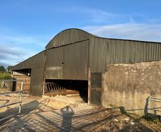 Cattle shed