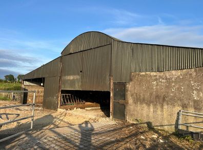 Cattle shed