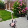 iSporter Scooter Image 2