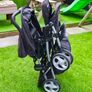 Graco Double Buggy Image 3